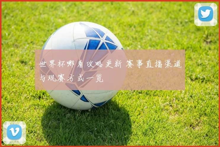 世界杯哪看攻略更新 赛事直播渠道与观赛方式一览