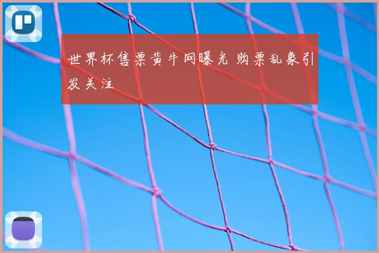 世界杯售票黄牛网曝光 购票乱象引发关注