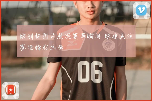 欧洲杯图片展现赛事瞬间 球迷关注赛场精彩画面